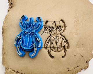 Beetle 1