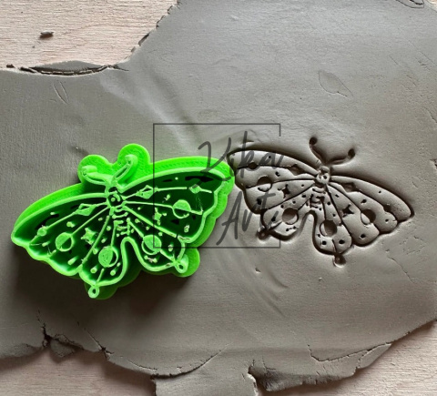 Moth 1 Moth 1